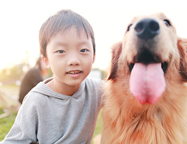 男の子と犬のイメージ