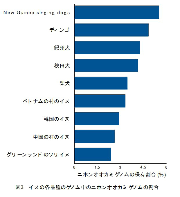 図3 イヌの各品種のゲノム中のニホンオオカミゲノムの割合